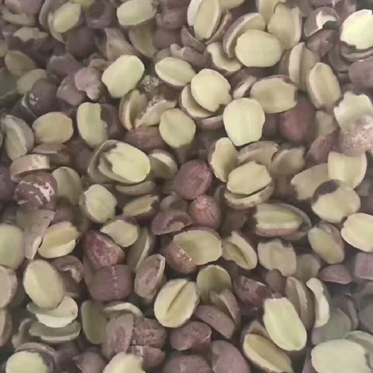 广州红莲子 湘莲半边莲一百斤起批