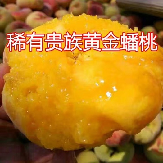 泰安黄金油蟠桃苗 1~1.5米 