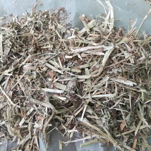 正阳县花生秧