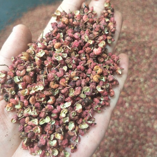 亳州大红袍花椒 一级 干花椒