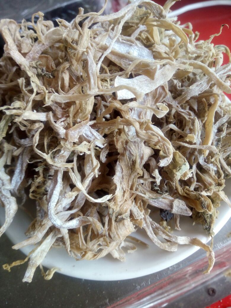 竹笋干 12-18个月
