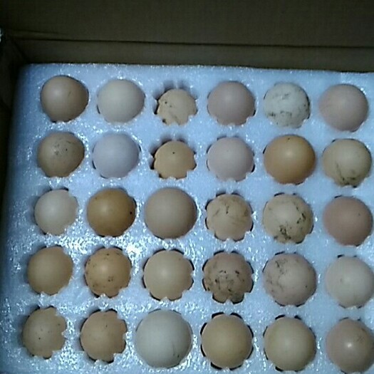 平昌县土鸡蛋 食用 礼盒装