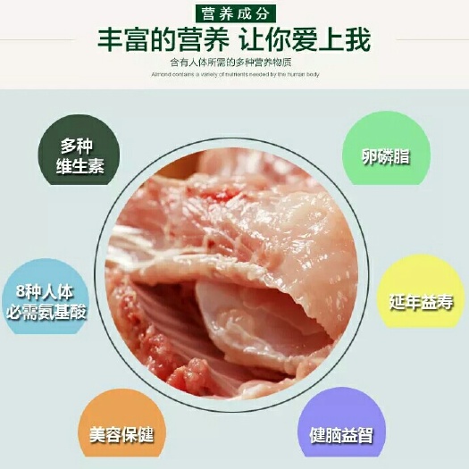新沂市肉兔 兔肉可口