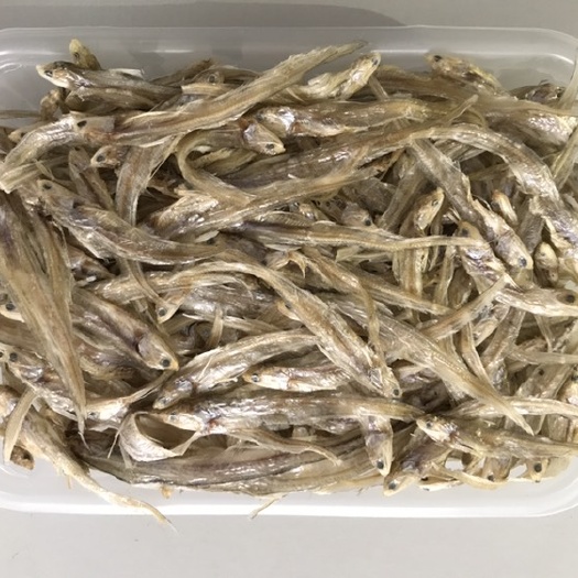 毛刀鱼