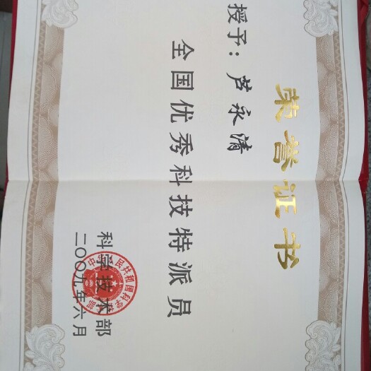 西宁青薯9号土豆种子  供应丽薯6号、青薯9号种薯，提供繁育推，产供销一条龙服务。