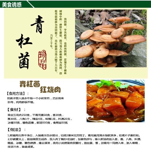 广元青杠菌  、树秋菌，纯野生特级机烤干货，无霉无杂无黑烂