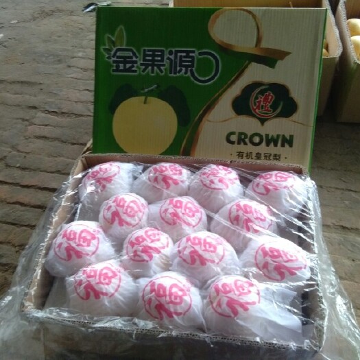 晋州市皇冠梨 3-6g 55mm以上 