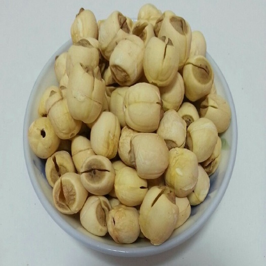宁化县莲子  通芯莲 95%以上 一级