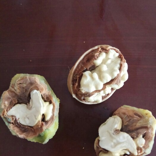 枣庄香玲核桃 