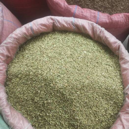 成都香料茴香