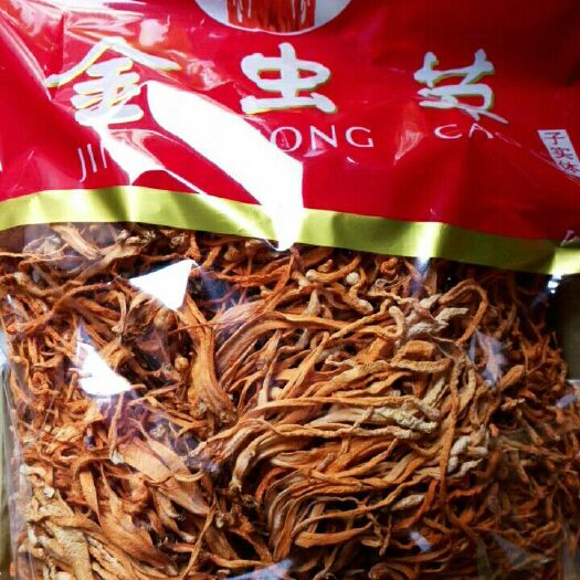 安国市虫草花 中药材虫草花