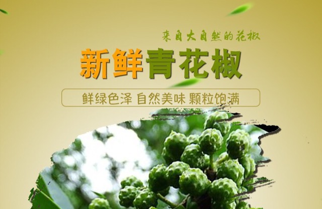 绵阳 鲜青花椒藤椒