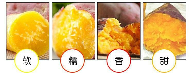 廊坊龙薯九号 红皮 6两~1斤 