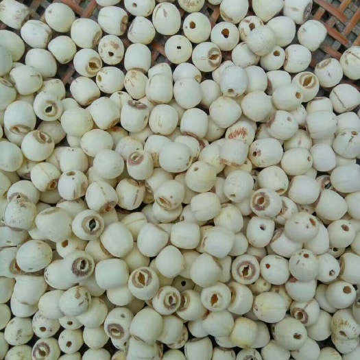 黄冈通芯莲 特级 95%以上 