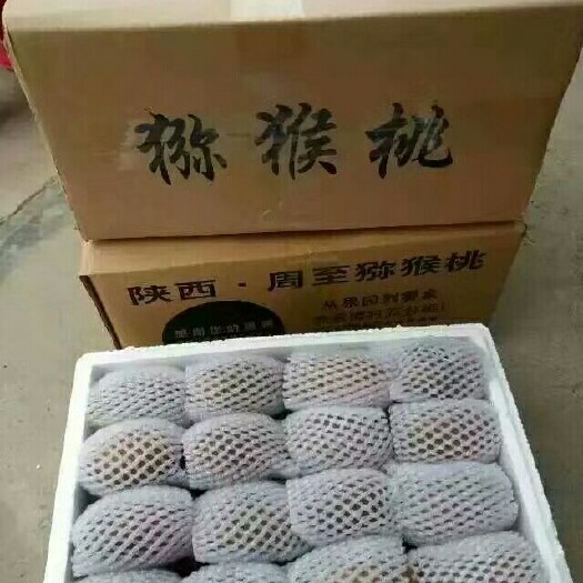 周至县绿心猕猴桃
