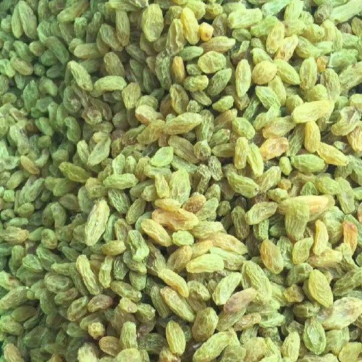 郑州新疆绿葡萄干 一等 