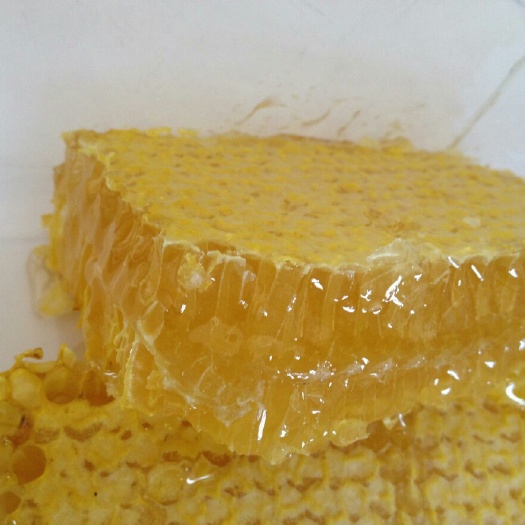 邢台巢蜜 塑料瓶装 95%以上 2年  蜂巢蜜 500克  诚实卖家  需要看货的私聊