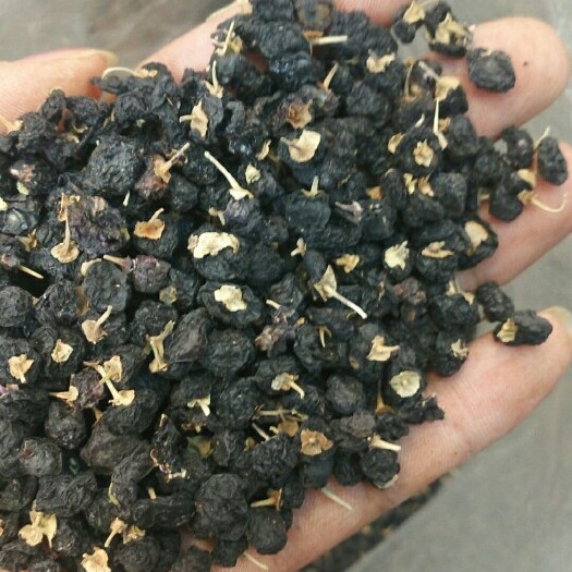 广州黑枸杞 合格品