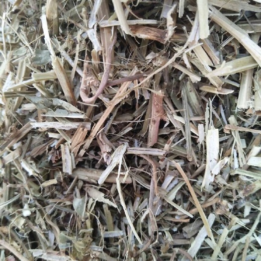 正阳县干草类饲料  牧草