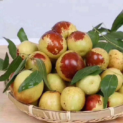 大荔县大荔冬枣价格优惠质量好全国各地代购代发量大发物流量小发快递