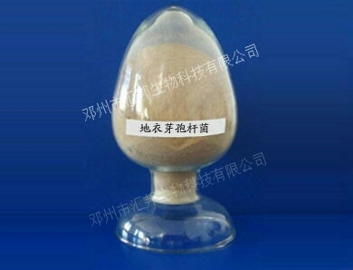 长沙复合微生物菌剂  汇邦生物枯草芽孢厂家生物肥料功能菌剂
