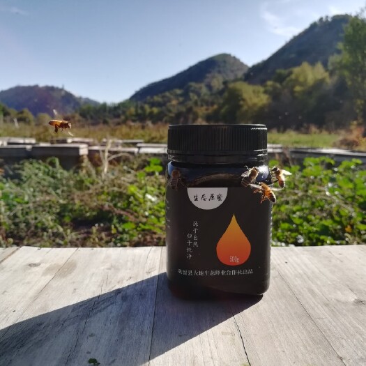 巩留县黑蜂蜂蜜 塑料瓶装  2年