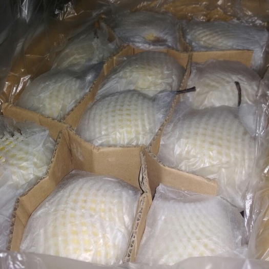 赵县雪梨 350-400g 70mm以上
