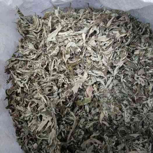 荆门艾草   五月艾，泡脚制容佳品(干货)