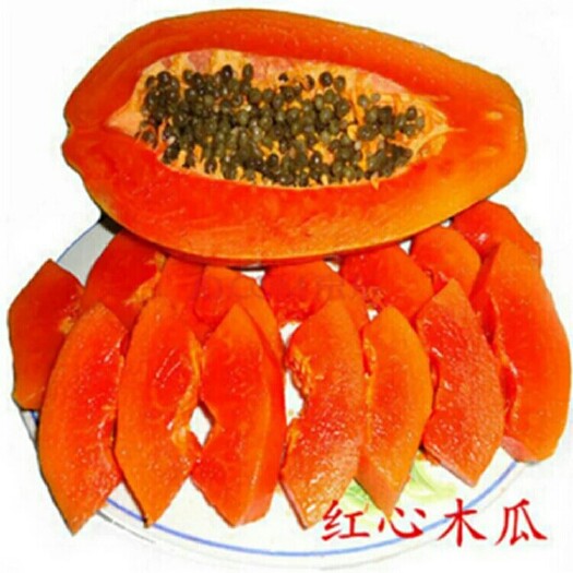 灵山县红心木瓜苗 