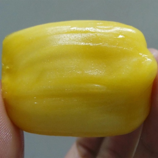 灵山县马来西亚一号菠萝蜜苗