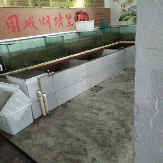 南京固城湖大闸蟹 2.5-3.0两 母蟹