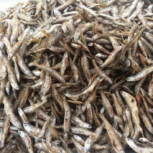 玉林小鱼干  油炸不开肚小白条鱼干