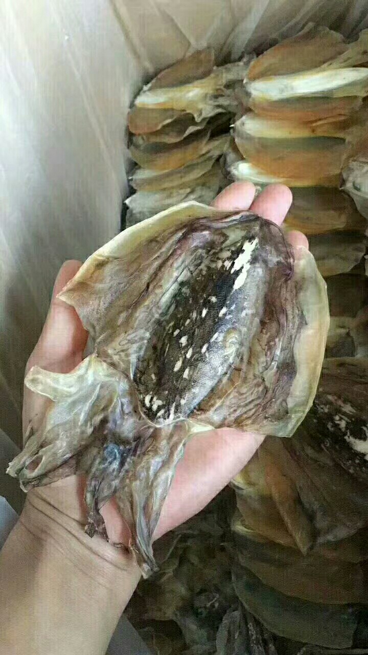 墨鱼干
