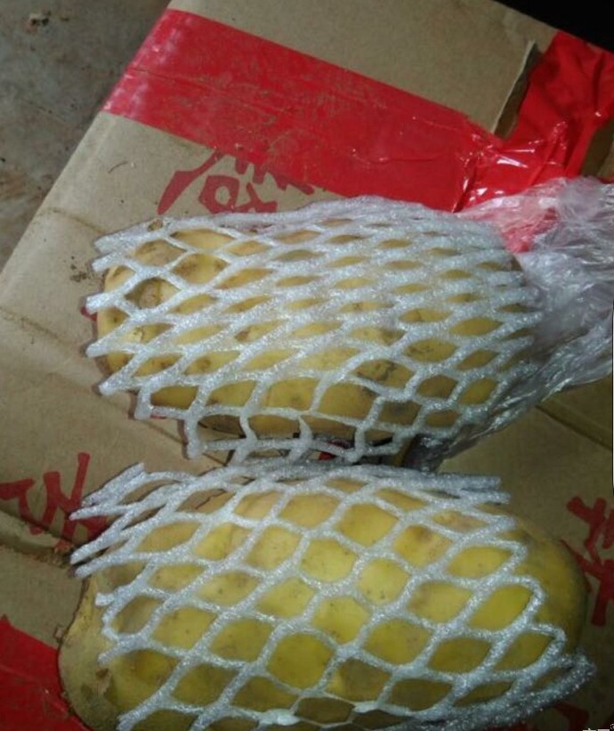 超荷兰15号土豆 3两以上