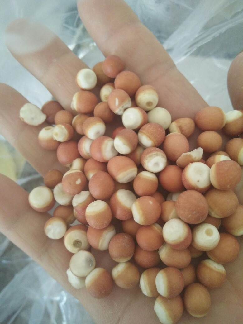 红芡实颗粒饱满均匀无硫，特大粒红