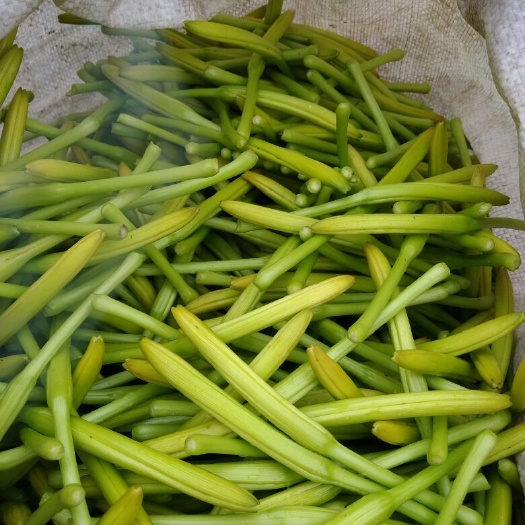曹县小黄花菜 袋装 一级