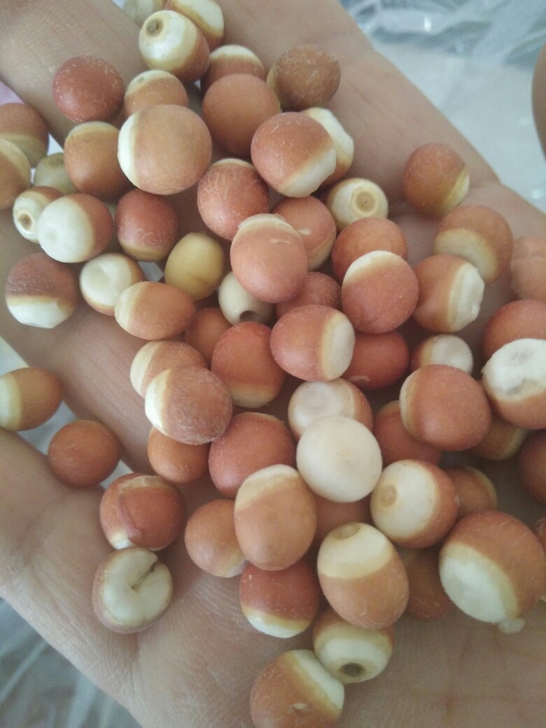 红芡实颗粒饱满均匀无硫，特大粒红