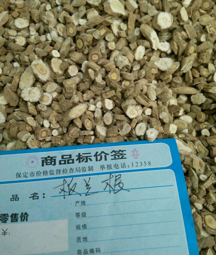 安国市北板蓝根  产地直销