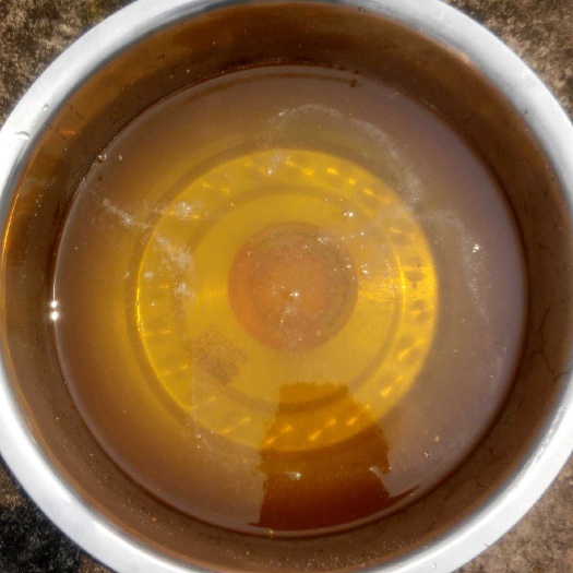 东莞荔枝蜜  2年 塑料瓶装