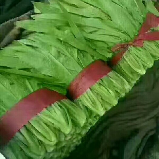 邯郸美冠油麦菜  本地长年供应各种蔬菜