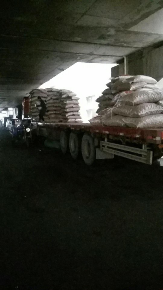  新疆核桃  阿克苏薄皮核桃