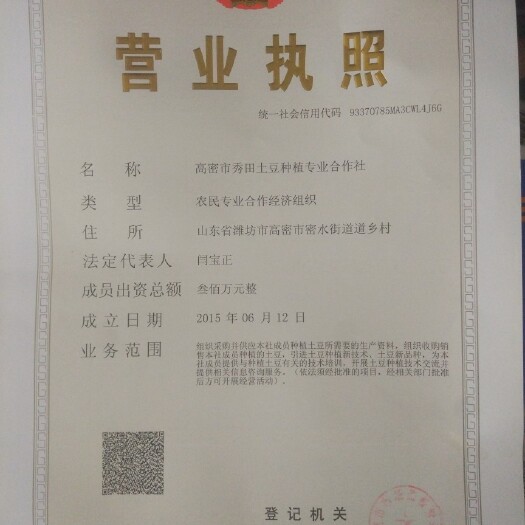 高密市荷兰15号种薯 一级原种
沃土5号原种种薯
