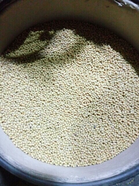 讷河市 黄芽豆一五九零四六二二      五八八
