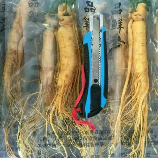 通化县长白山人参 单支真空包装，一颗毛重65克左右，保存时间更长
