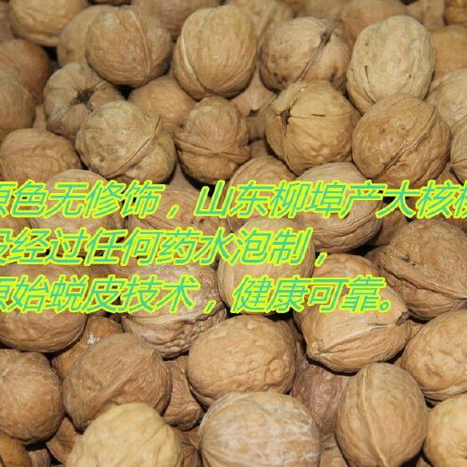 济南老树核桃