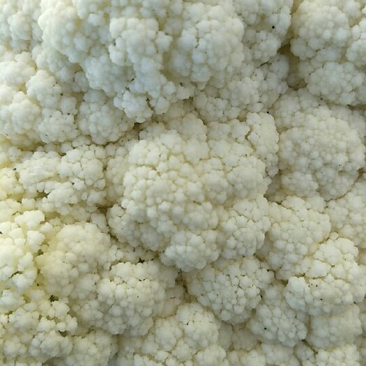 张北县白花菜花  精品80天小米青梗散花
