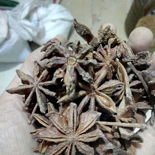 衡阳普通八角