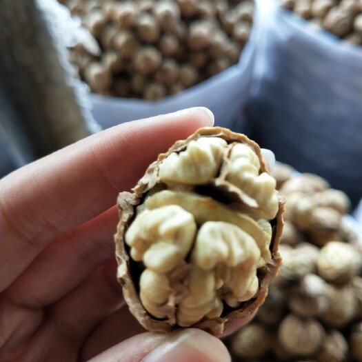 昆明泡核桃  纸皮核桃

云南漾濞纸皮麻子果，皮薄肉厚仁好，适合老年，中年