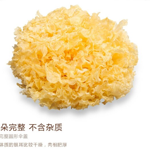 昆明蘑菇 黄银耳本色无硫银耳干货500g整件更实惠