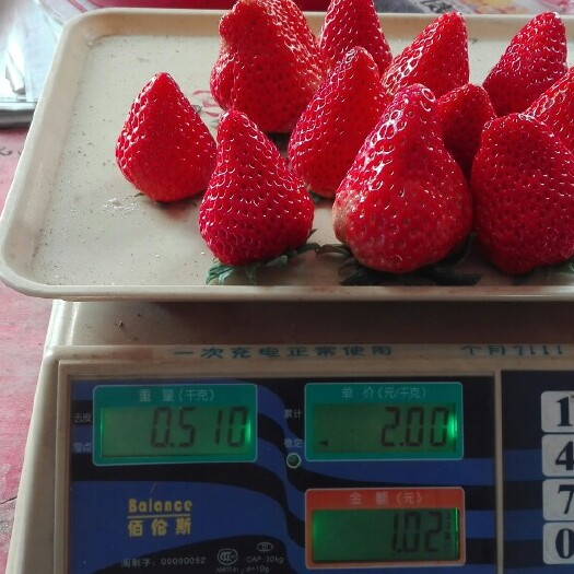 常州红颜草莓 30克以上